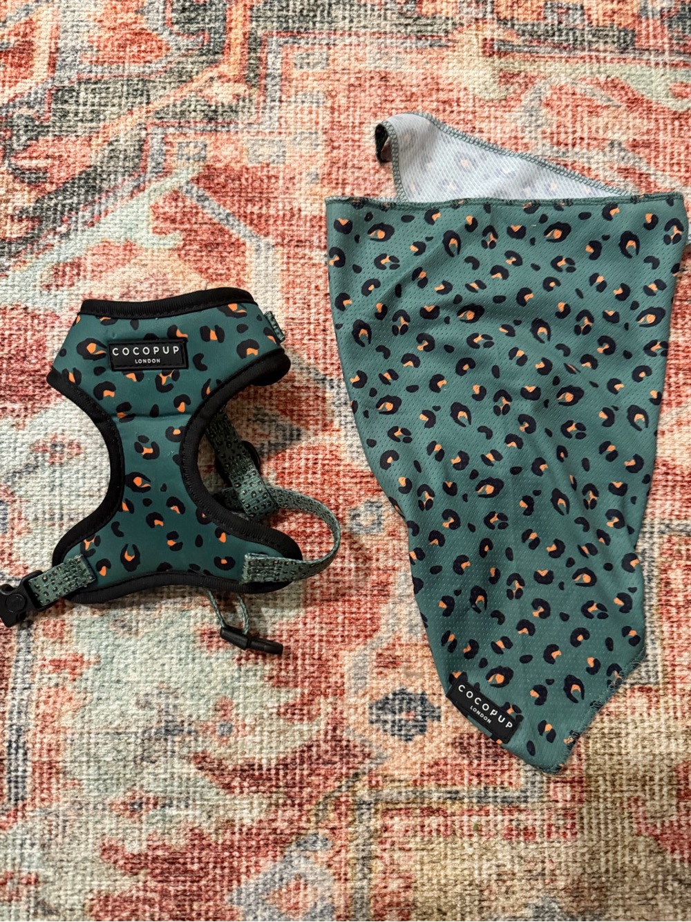 COCOPUP Teal Leopard Dog Harness & Bandana Set
